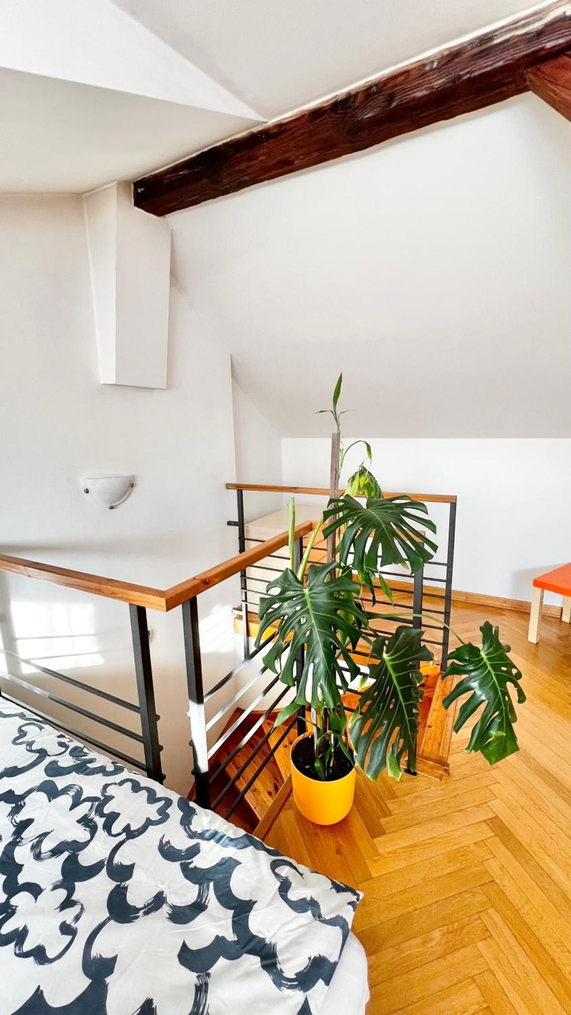 Miru Loft Apartmán Praha